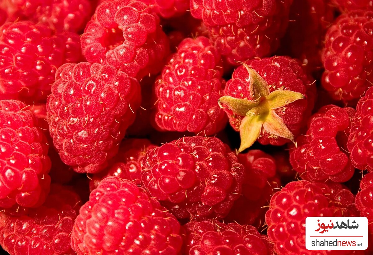 Raspberries