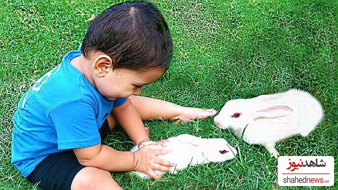 Rabbits and Kids