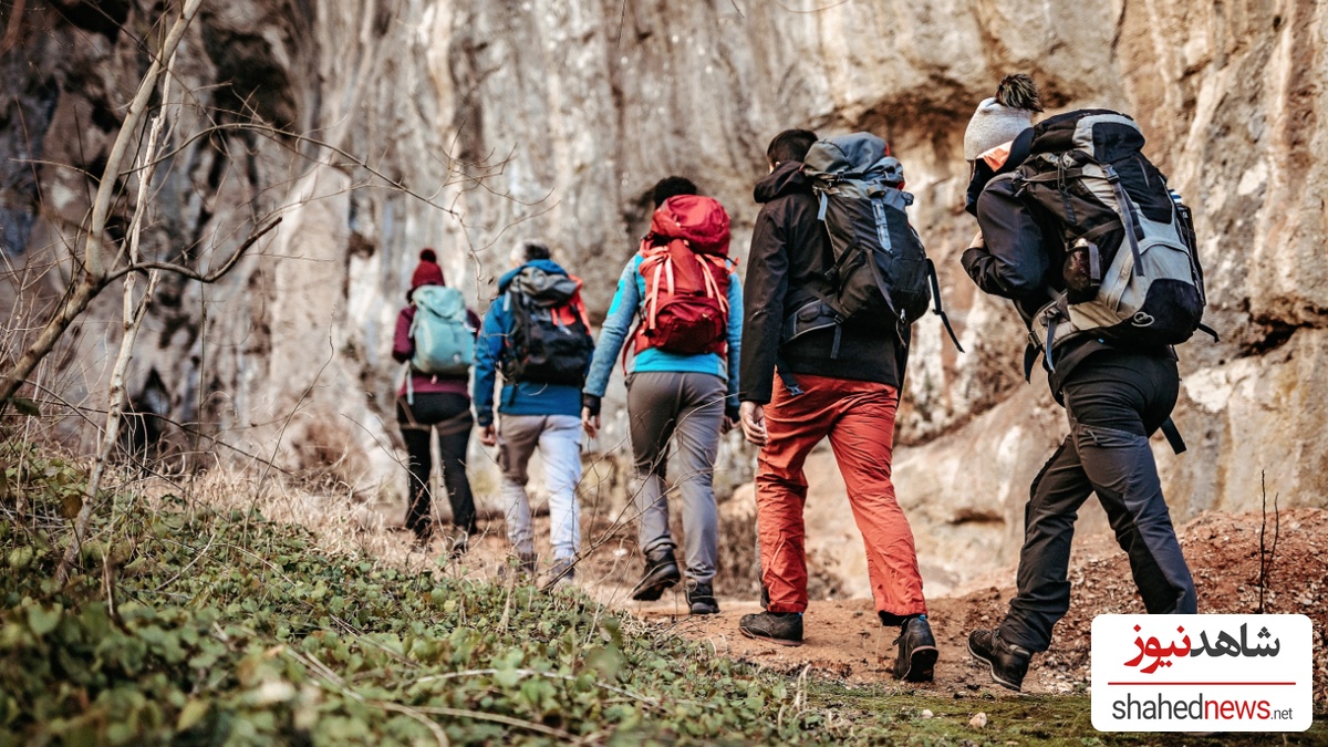 Join a group class or walking club for motivation and accountability