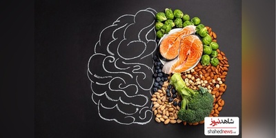 How Did the Human Brain Get So Big? New Study Challenges the Meat-Eating Theory