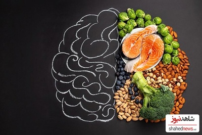 How Did the Human Brain Get So Big? New Study Challenges the Meat-Eating Theory