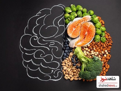 How Did the Human Brain Get So Big? New Study Challenges the Meat-Eating Theory