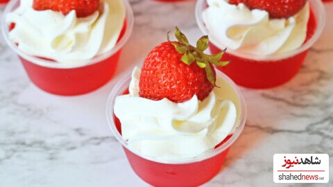 Whipped Cream Vodka Jell-O Shots