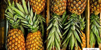 The Amazing Health Benefits of Pineapple You Need to Know!