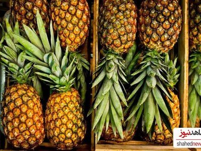 The Amazing Health Benefits of Pineapple You Need to Know!