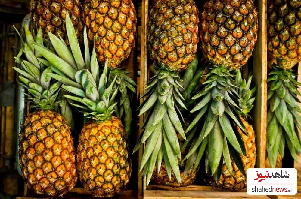 The Amazing Health Benefits of Pineapple You Need to Know!