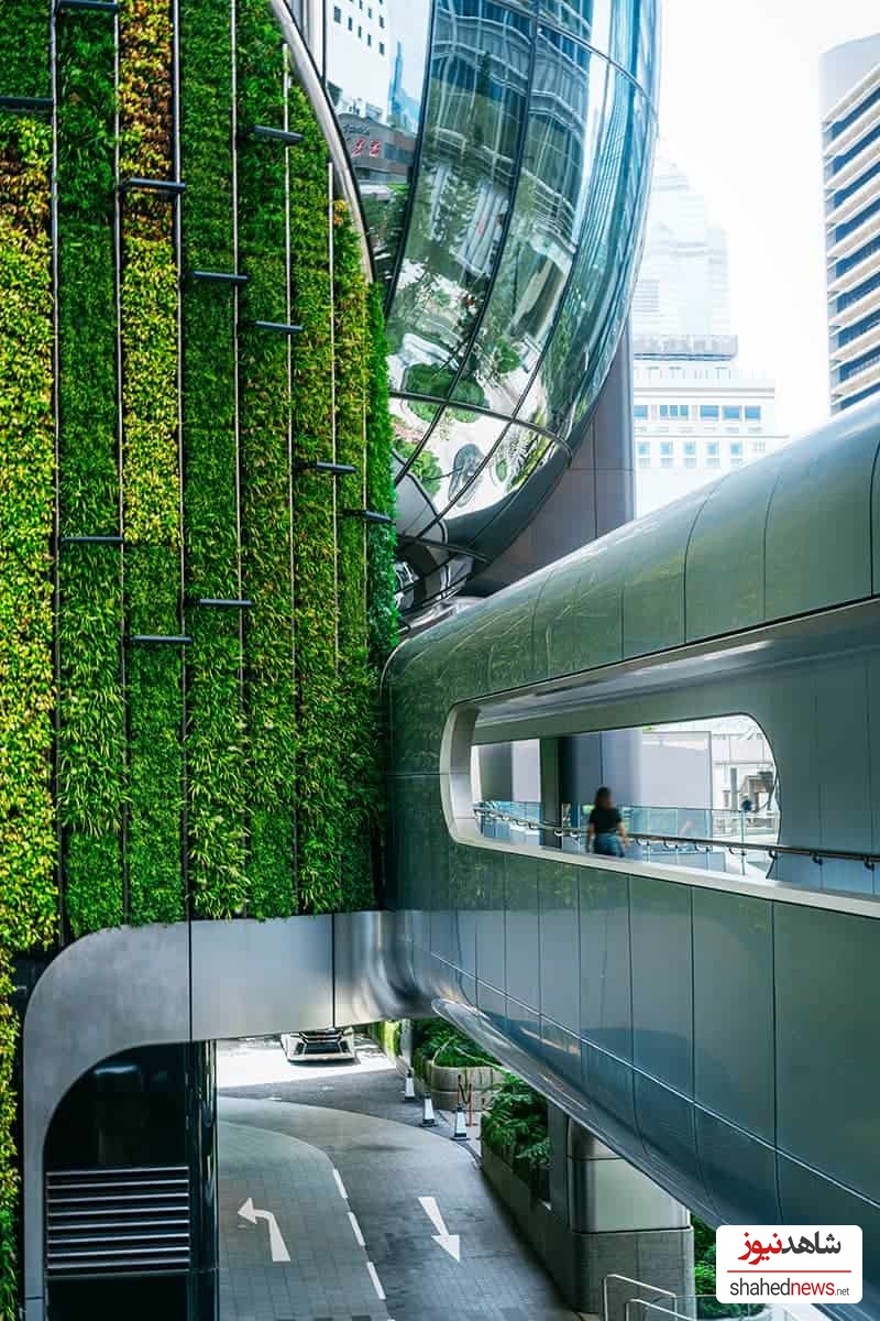 The Green City Skybridge and Vertical Garden Walkway in Hong Kong’s buzzing financial district immerses visitors in a multi-sensorial experience.