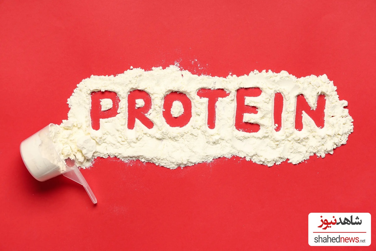 protein