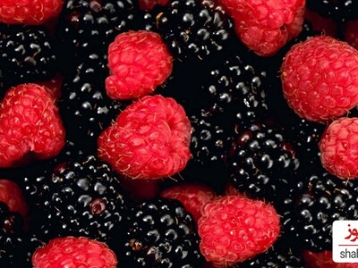 The Benefits of Raspberries for Weight Loss