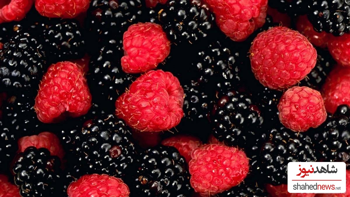 The Benefits of Raspberries for Weight Loss