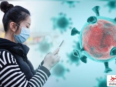 What is the New Chinese Disease and HMPV Virus?