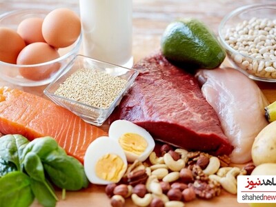 The Importance of Protein for Pregnant Women: Key Benefits You Need to Know