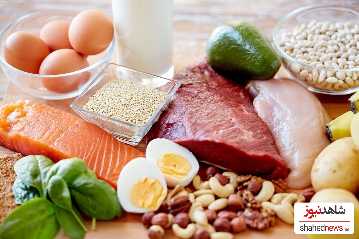 The Importance of Protein for Pregnant Women: Key Benefits You Need to Know