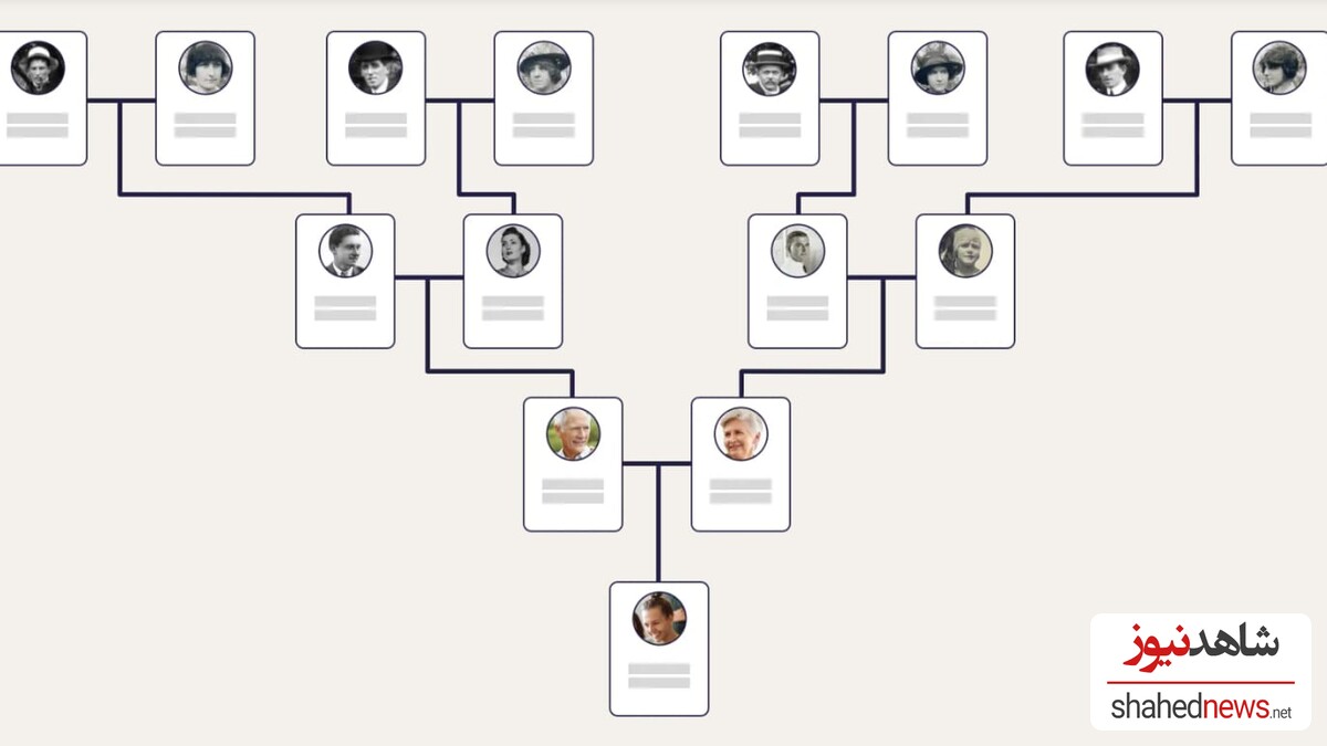 a sample family tree 