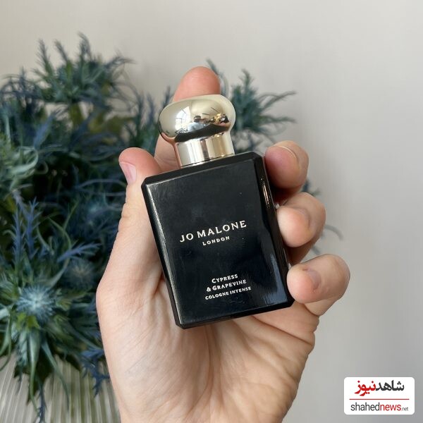 Jo Malone Cypress & Grapevine Cologne Intense  