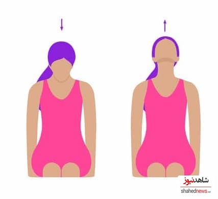 Neck