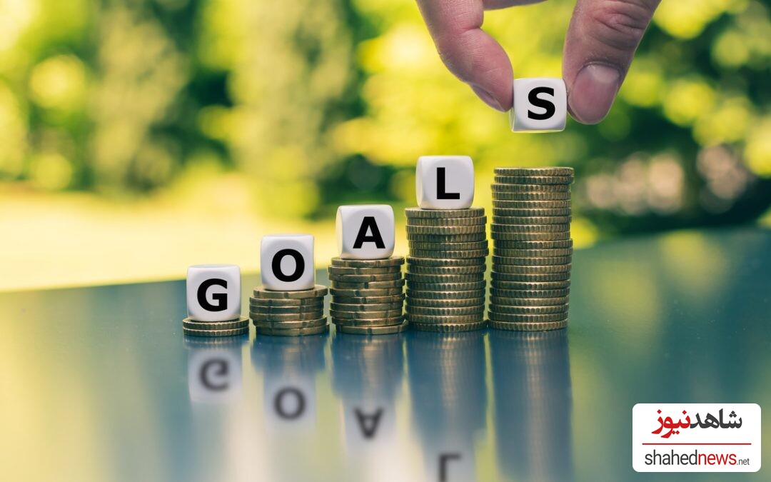 Set a Financial Goal