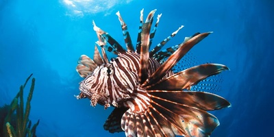 10 Stunning Ocean Images That Defined 2026