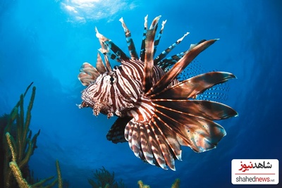 10 Stunning Ocean Images That Defined 2026