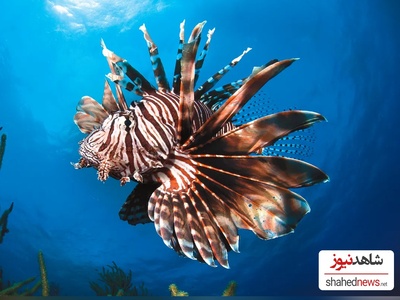 10 Stunning Ocean Images That Defined 2026