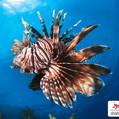 10 Stunning Ocean Images That Defined 2026