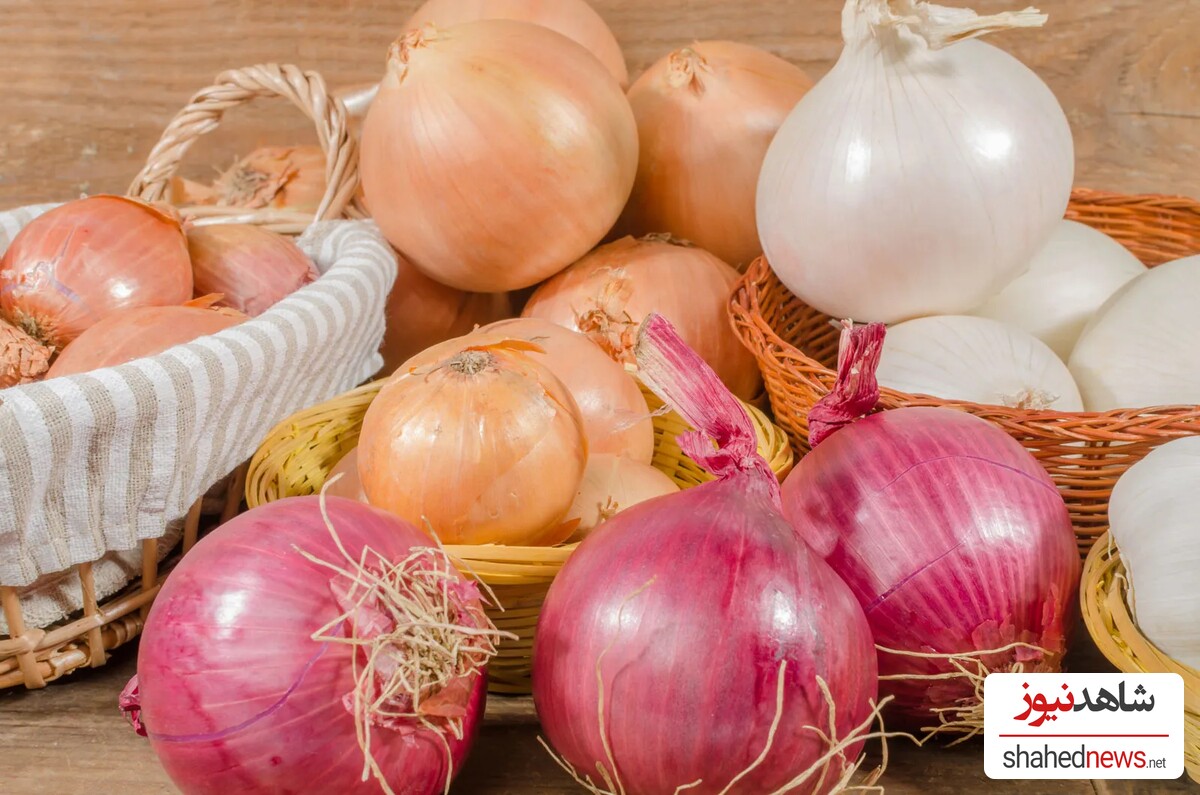 Onion