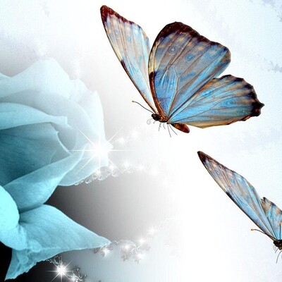 7 Vibrant Butterfly Wallpapers to Brighten Your Desktop