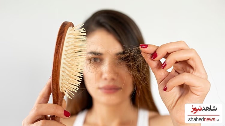 On average, each person loses between 50 and 100 hairs per day.
