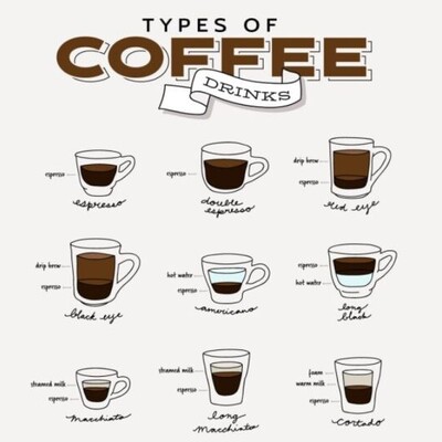 The Encyclopedia of Coffee Types: Never Feel Confused at the Café Again!