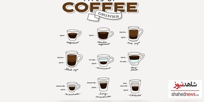 The Encyclopedia of Coffee Types: Never Feel Confused at the Café Again!