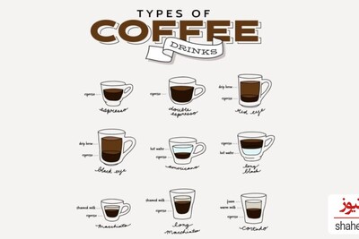 The Encyclopedia of Coffee Types: Never Feel Confused at the Café Again!