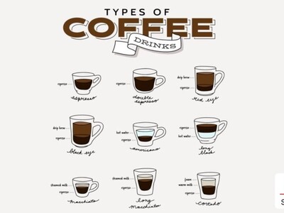 The Encyclopedia of Coffee Types: Never Feel Confused at the Café Again!