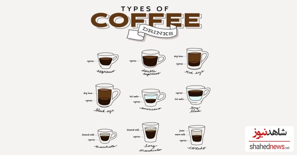 The Encyclopedia of Coffee Types: Never Feel Confused at the Café Again!