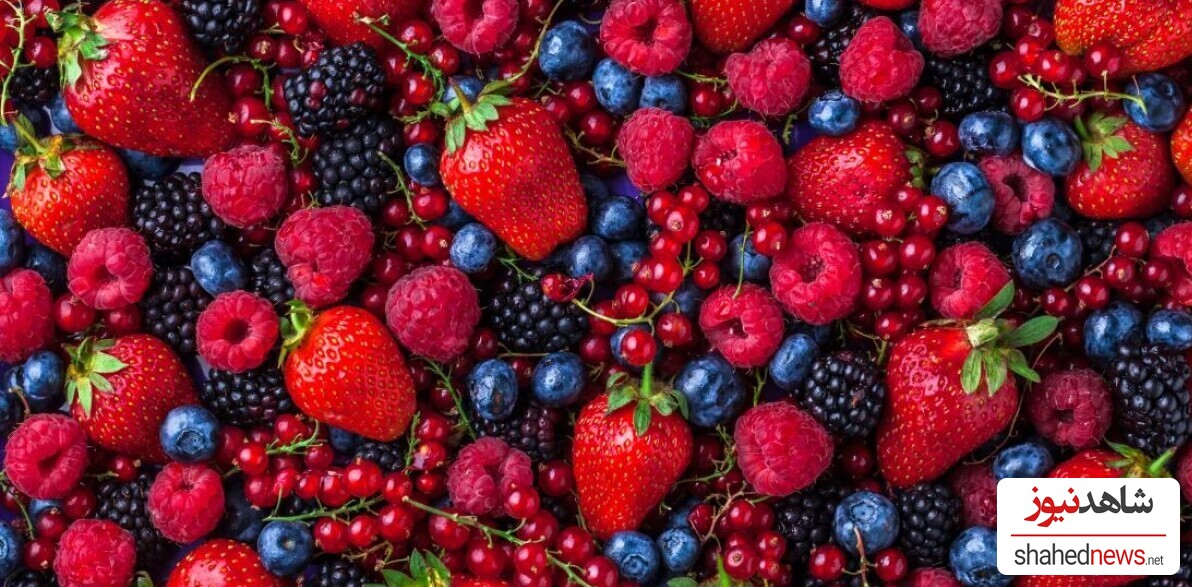  Berries 