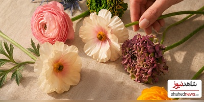 How to Make Cut Flowers Last Longer: Expert Tips That Really Work