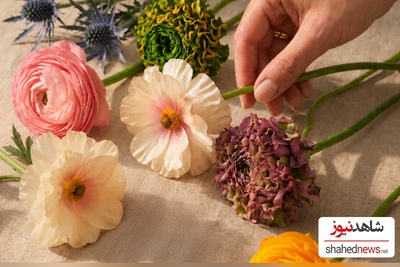 How to Make Cut Flowers Last Longer: Expert Tips That Really Work