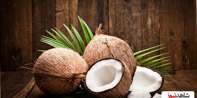 Health Benefits of Coconut During Pregnancy for Both Mother and Baby