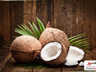 Health Benefits of Coconut During Pregnancy for Both Mother and Baby