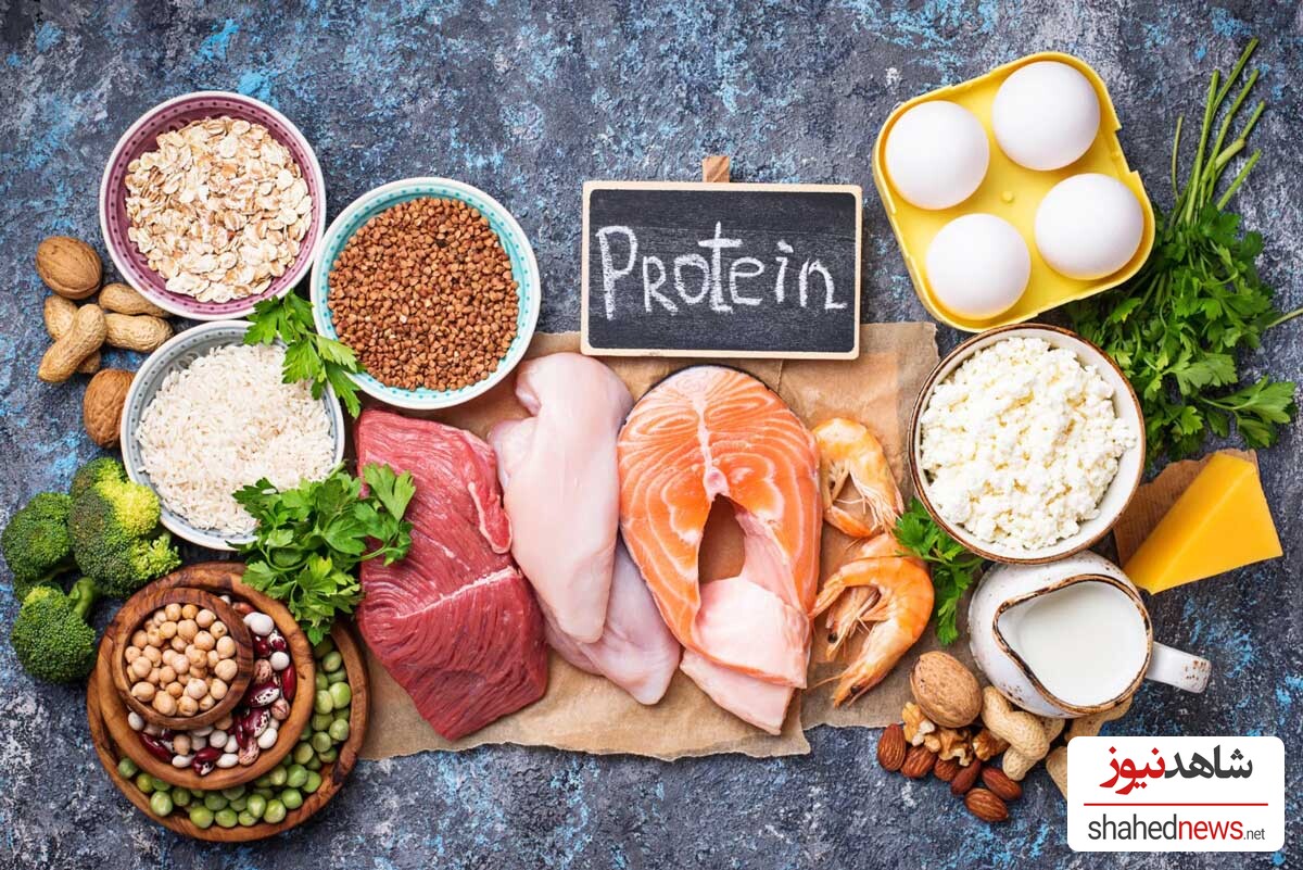 Protein 