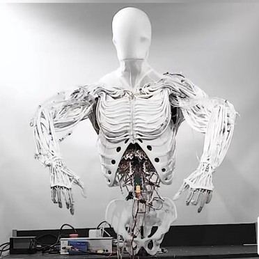 A Faceless, Frightening Humanoid Robot Set to Replace Humans