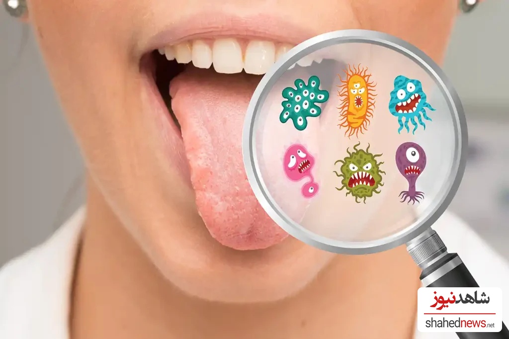 A thriving microbial community