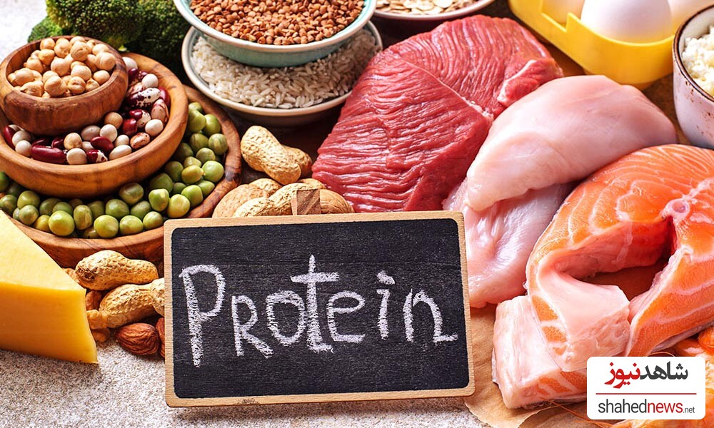 protein 