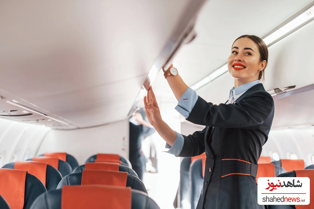 Flight Attendant