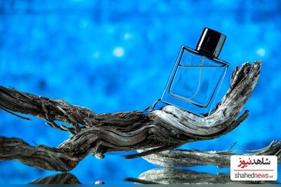 Perfume or Cologne: Which is Better?