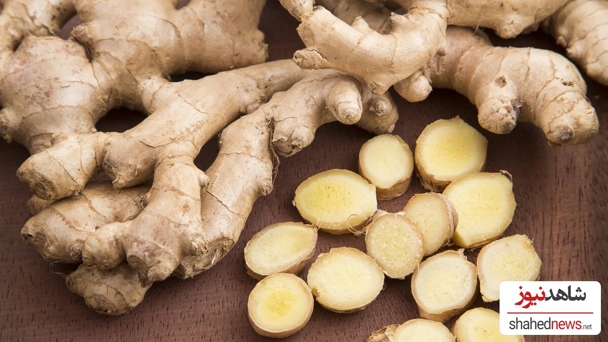 Fresh Ginger Root