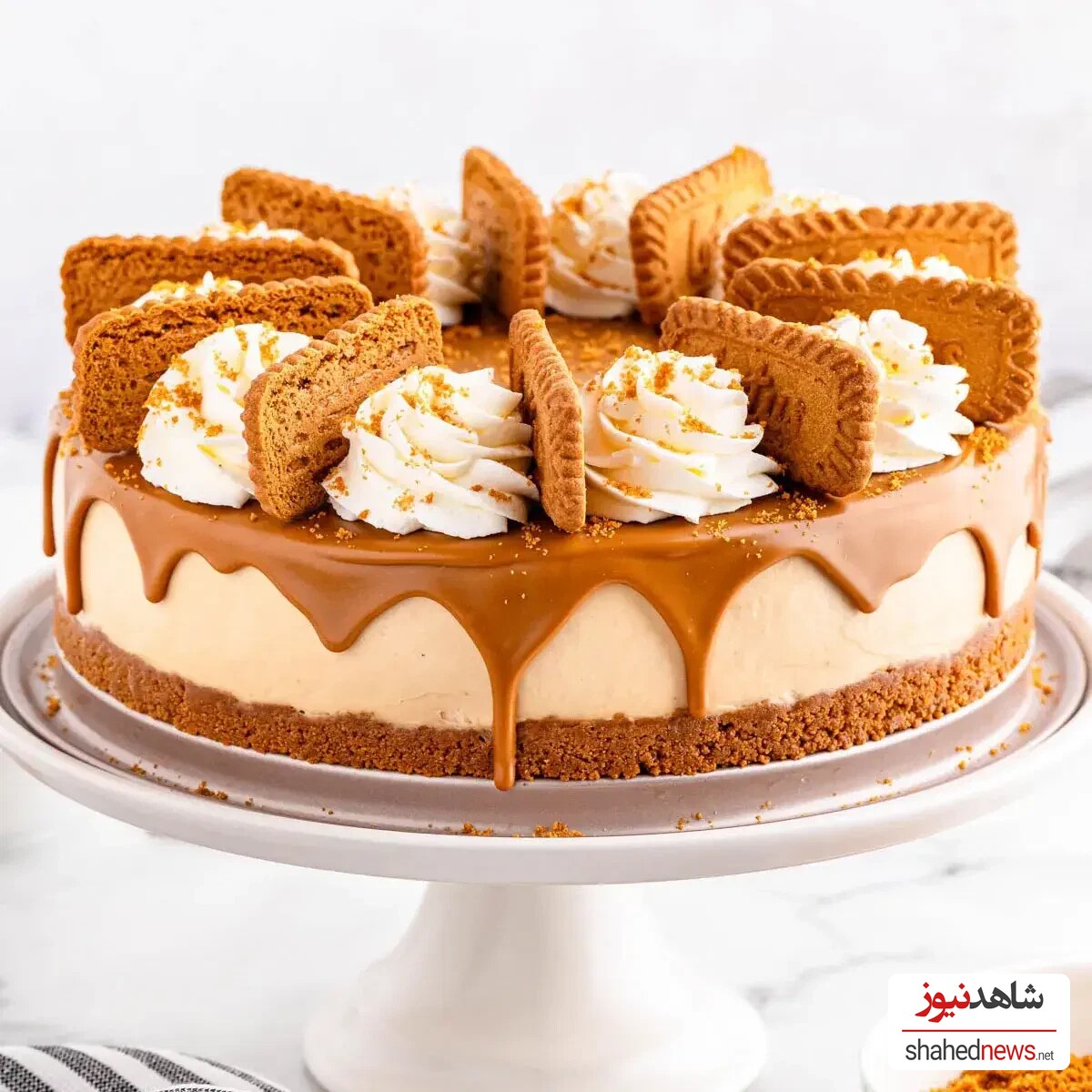 Biscoff Cheesecake