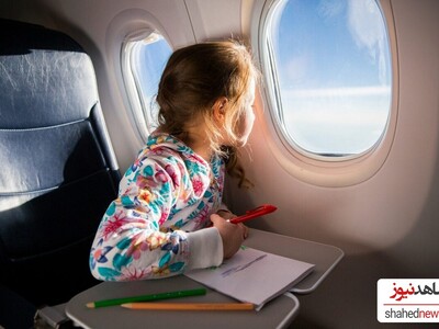 How to Stay Healthy and Avoid Illness on Your Airplane Journey