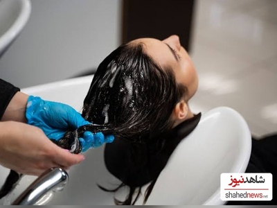 Which Shampoo Is Right for Your Hair? A Guide to Choosing the Best One
