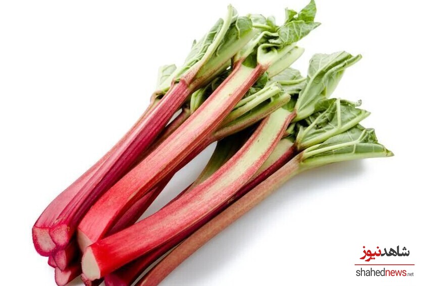 Rhubarb