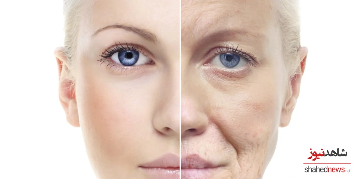 Ageing is not a destructive force